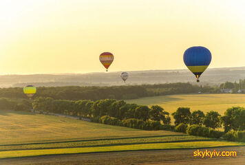 Фестиваль Воздушных Шаров "Александрийская Феерия" 2019