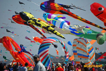 Международный фестиваль воздушных змеев 2019