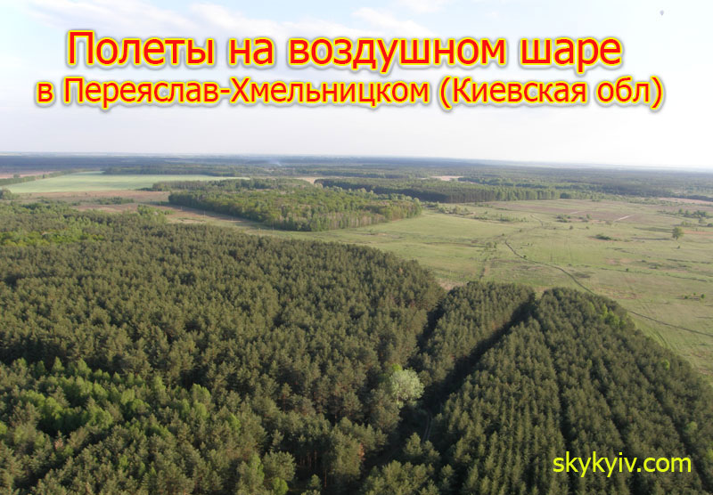 Полет на воздушном шаре Переяслав